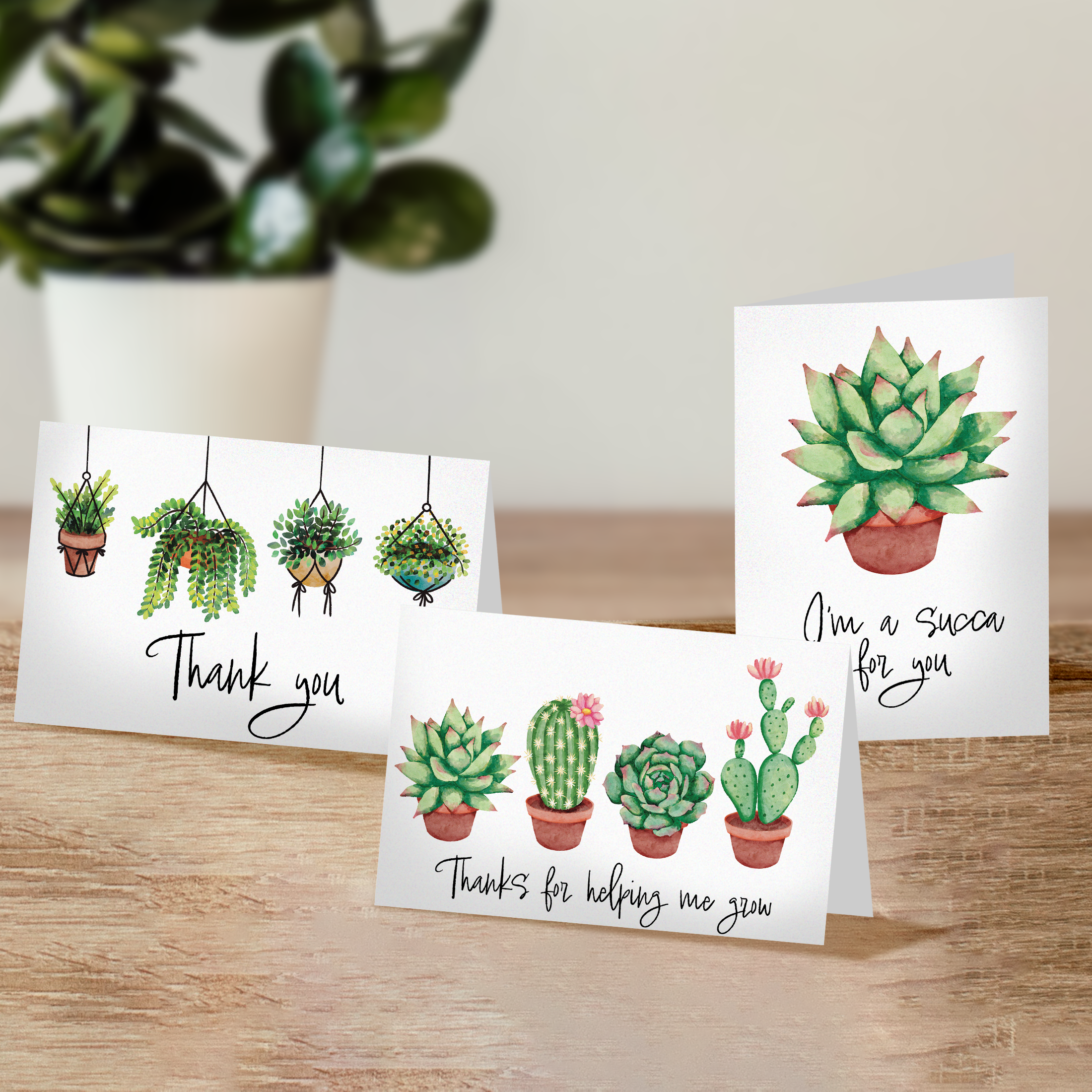 Succulents Thank You Cards with Envelopes