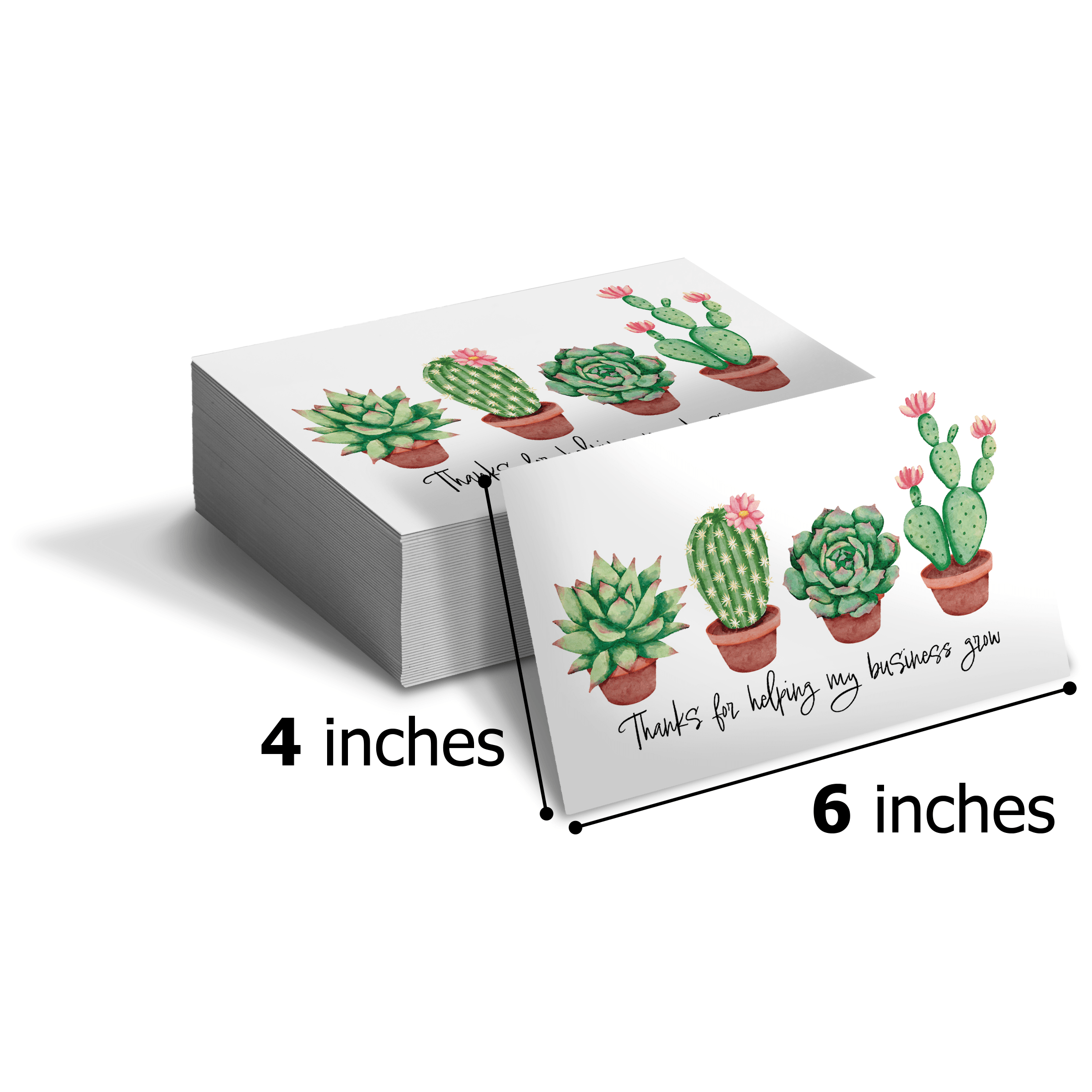 succulent business cards Succulent Insert Cards