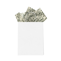 Money Designer Tissue Paper for Gift Bags
