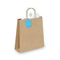 Blue Snowflake Gift Tags - Pro Supply Global