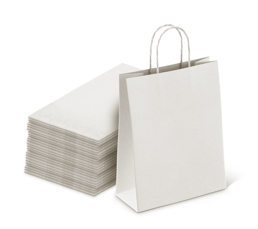 White Kraft Paper Bags, 8x4.75x10.25, 100ct