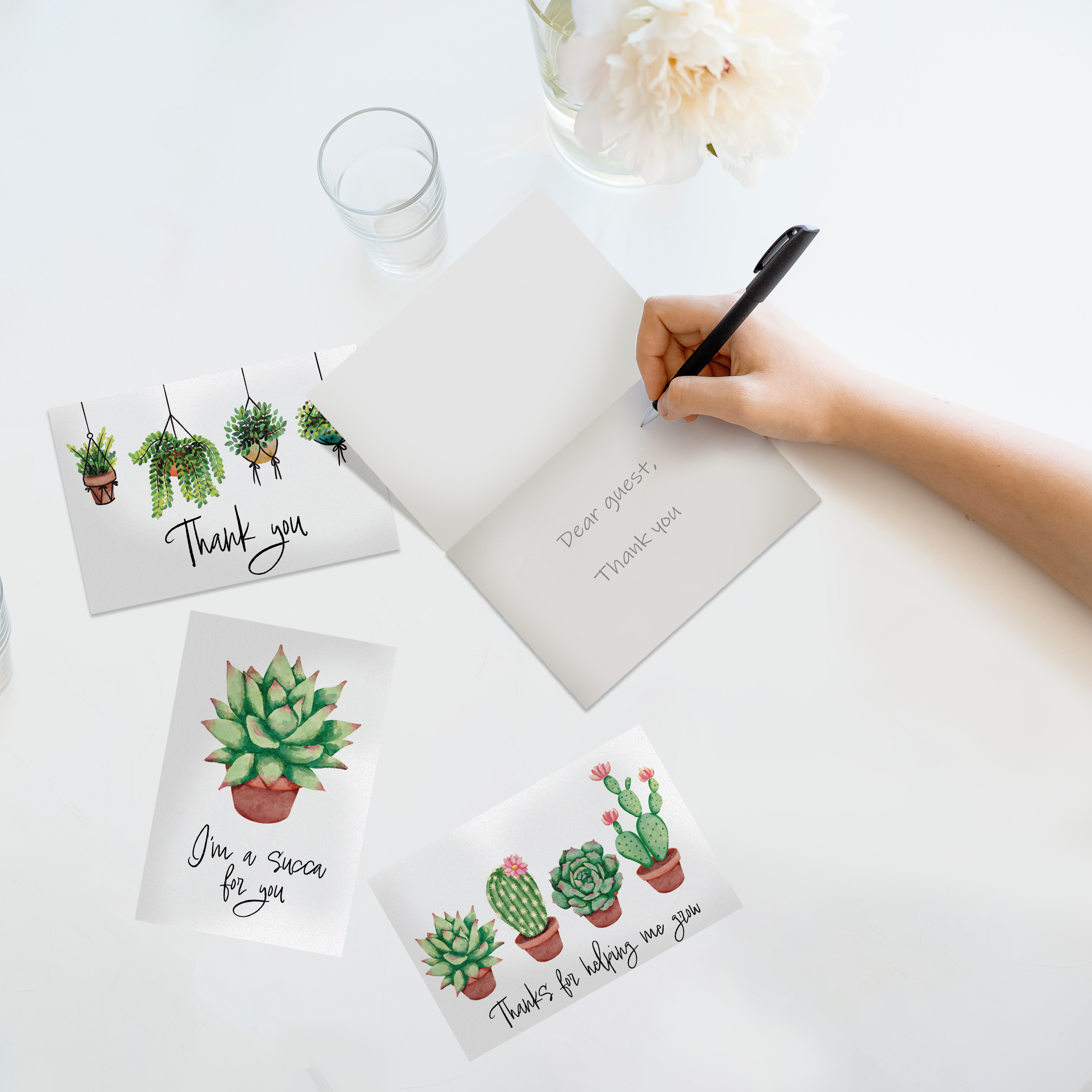 succulent postcards Succulent Thank You Cards With Envelopes