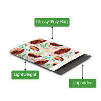 10x13 Hedgehog Poly Mailers – Shipping Bags for Small Business