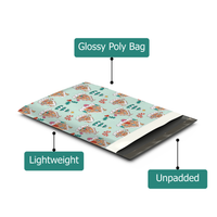 10x13 Gingerbread Houses Poly Mailers – Shipping Bags for Small Business