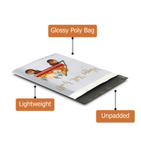 10x13 Hello Fall Poly Mailers – Shipping Bags for Small Business