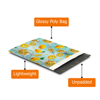 10x13 Lemonade Poly Mailers – Shipping Bags for Small Business