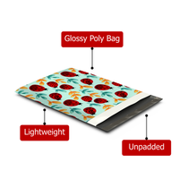 10x13 Ladybug Poly Mailers – Shipping Bags for Small Business