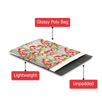 10x13 Apples and Blossoms Shipping Premium Printed Poly Mailers – Shipping Bags for Small Business