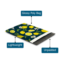 10x13 Lemons Poly Mailers – Shipping Bags for Small Business