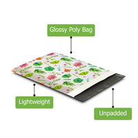 10x13 Succulents Poly Mailers – Shipping Bags for Small Business