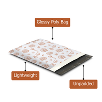 10x13 Autumn Harvest Poly Mailers – Fall Printed Shipping Bags for Small Business