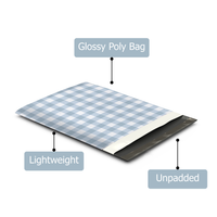 19x24 Blue Gingham Poly Mailers – Large Printed Shipping Bags