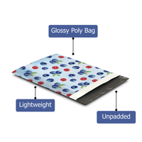 10x13 Summer Berries Poly Mailers – Shipping Bags for Small Business