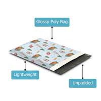 10x13 Snow Day Poly Mailers – Shipping Bags for Small Business