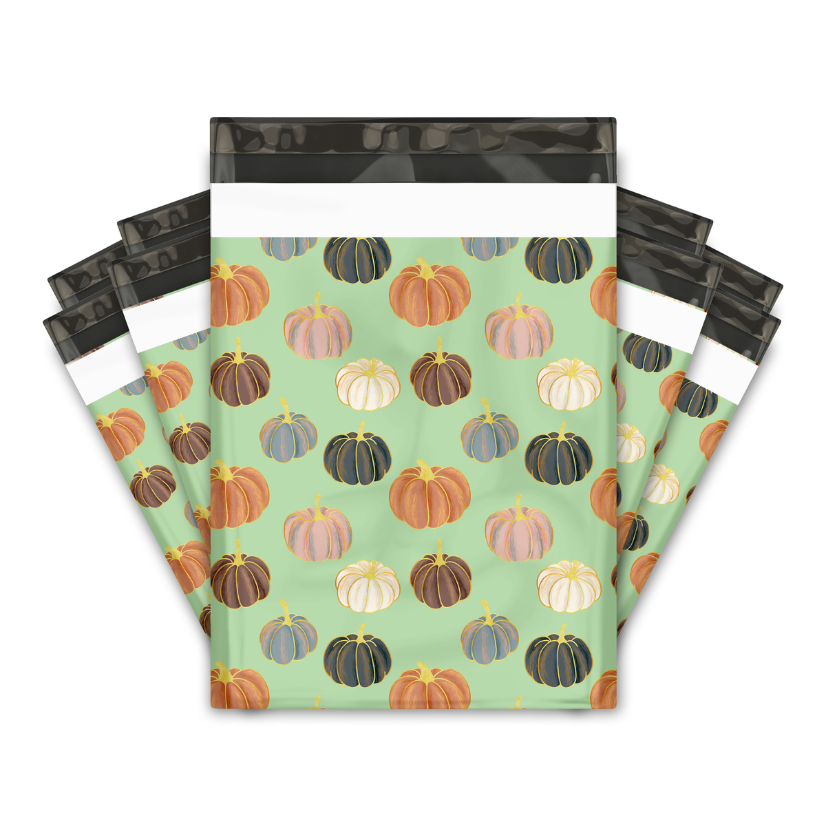 Order 10x13 Pumpkin Patch Designer Poly Mailers - Premium Print