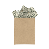 Money Designer Tissue Paper for Gift Bags