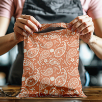 10x13 Orange Pumpkin Paisley Poly Mailers – Shipping Bags for Small Business