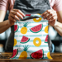 10x13 Pineapple & Watermelon Poly Mailers – Shipping Bags for Small Business