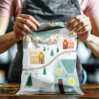 12x15 Winter Village Poly Mailers – Shipping Bags for Small Business