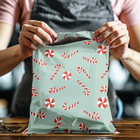 10x13 Candy Canes Designer Poly Mailers Shipping Envelopes Premium Printed Bags