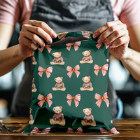 10x13 Christmas Teddy Bear Poly Mailers – Holiday Shipping Bags