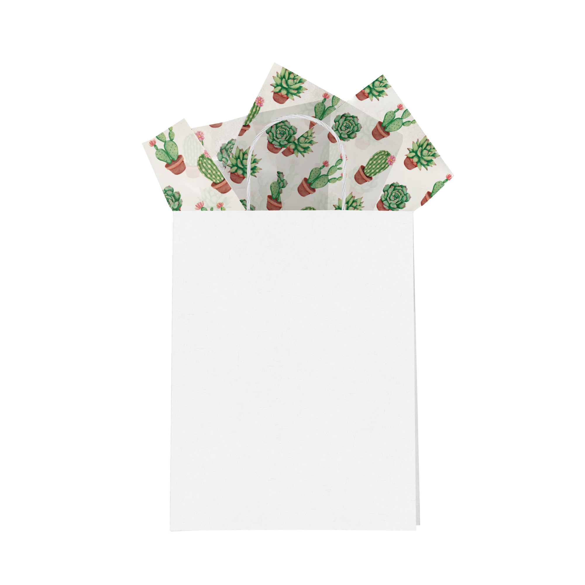 Succulents 20x30 Tissue Paper – Gift Wrapping & Boutique Packaging