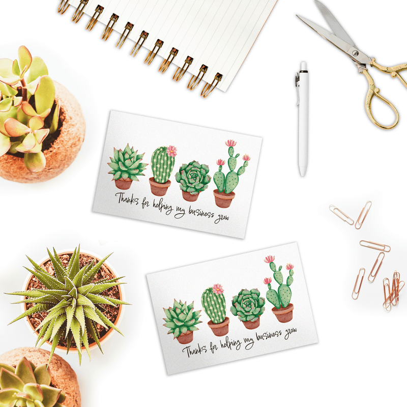 Succulent Insert Cards - Pro Supply Global