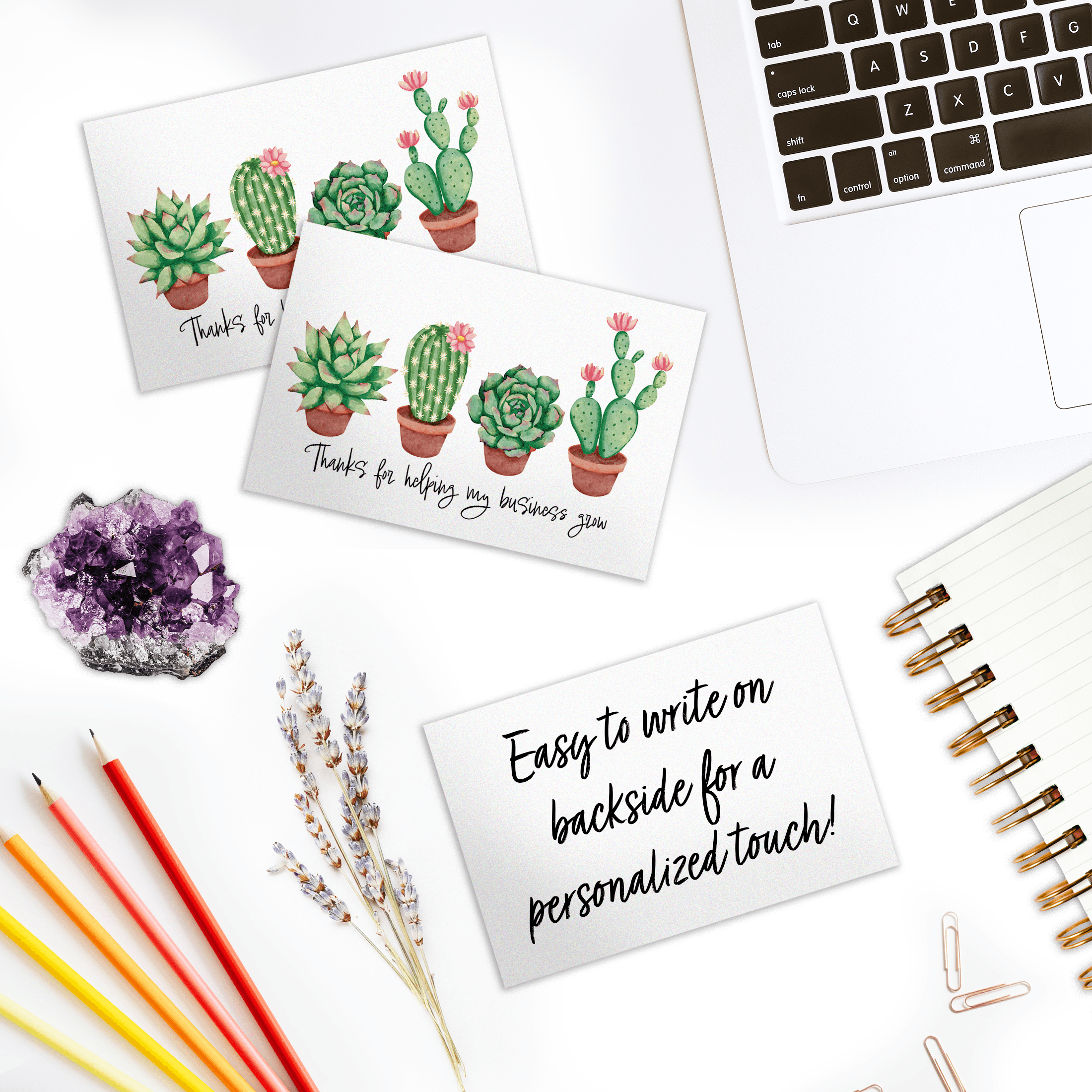 succulent stationery Succulent Insert Cards