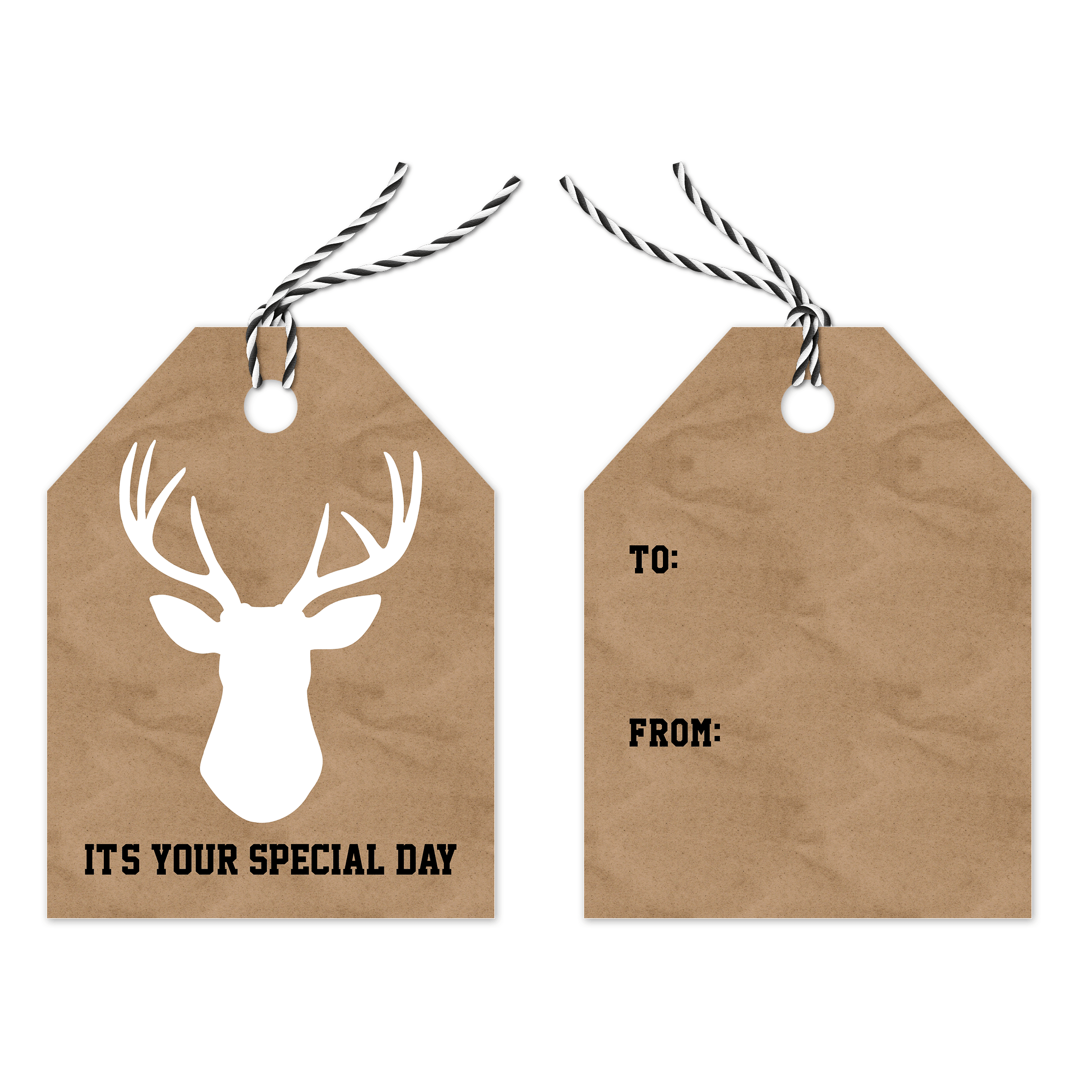 Special Day Deer Premium Gift Tags