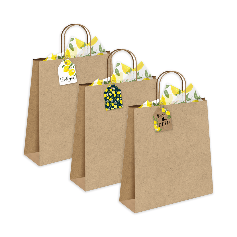 Lemons Assortment Gift Tags for Fresh Gifting Buy Now