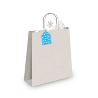 Blue Snowflake Gift Tags - Pro Supply Global